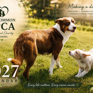 Roscommon SPCA 2027 Calendar